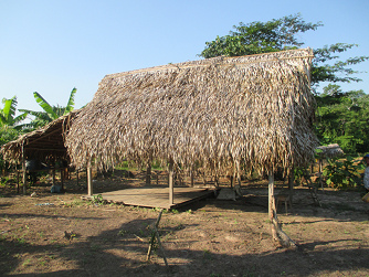 Casita sin paredes con techo vegetal en una chacra,
                San Francisco
