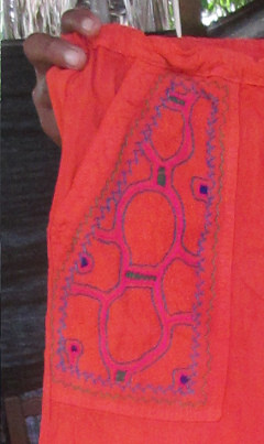 El
              dise�o de la tortuga, primer plano