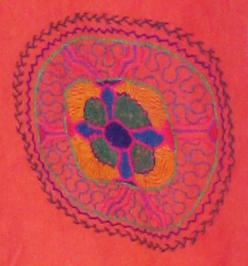 La planta de
                      ayahuasca en una visi�n, primer plano