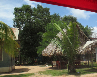 H�user mit Palmen in San Francisco, Region
                Pucallpa