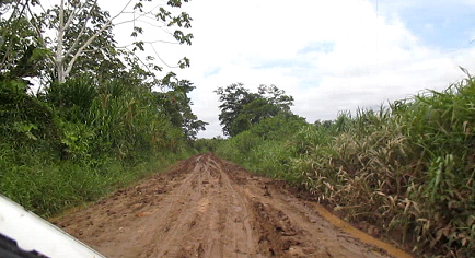vergr�ssern m�glich Strasse zwischen Yarina
                        und San Francisco nach einem Regen, teilweise
                        nur noch Schlamm Das Transportministerium ...
                        sagt nichts