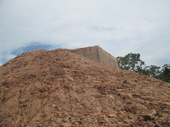 Da steht eine Br�cke, die nie
                        fertiggestellt wurde, die Diskriminierung gegen
                        die Shipibos in San Francisco ist total