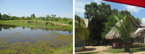 Mundo
shipibo: criadero de peces - y
casas Mundo shipibo: criadero de
peces - y casas