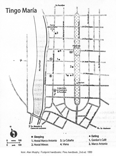 Map of the town of Tingo Mar�a with
                          tourist information