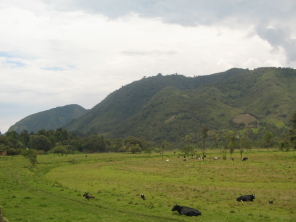 Bergkettenpanorama n�rdlich von Oxapampa 01