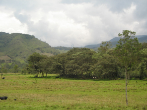 Bergkettenpanorama n�rdlich von Oxapampa 02