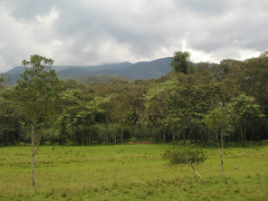 Bergkettenpanorama n�rdlich von Oxapampa 03