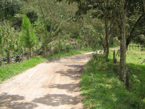 Feldweg mit Wassersenke