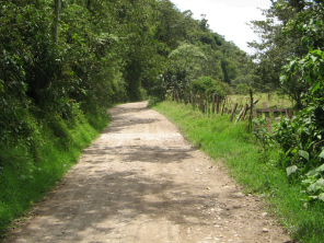 Feldweg mit Wassersenke