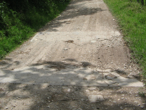 Wassersenke, Nahaufnahme