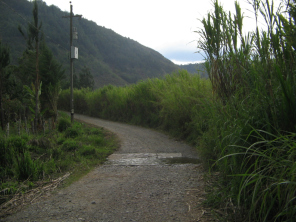Wassersenke und Zuckerrohr