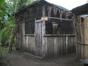 La casa de gallinas de Francisco
                          Esp�ritu