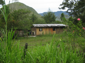 Casa con prado y montes al fondo
