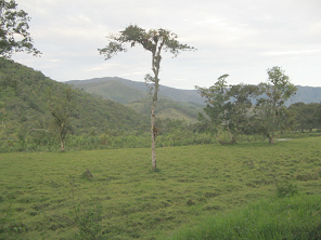 Panorama in Richtung S�den 02