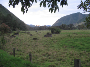 La vista atr�s, el panorama al norte