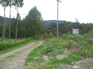 El camino al ro Chontabamba con la placa
                        vaca