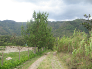 Der Weg in Richtung H�ngebr�cke