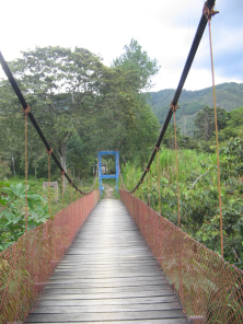 Der Holzboden
                                  der H�ngebr�cke in Holzschwellen