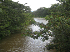 Die Sicht flussaufw�rts nach S�den auf der
                        H�ngebr�cke �ber den R�o Chontabamba