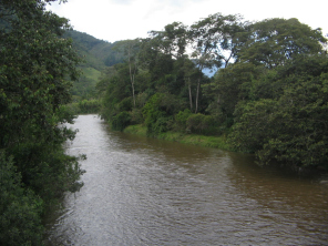 Die Sicht flussabw�rts
                      nach Norden auf der H�ngebr�cke �ber den R�o
                      Chontabamba