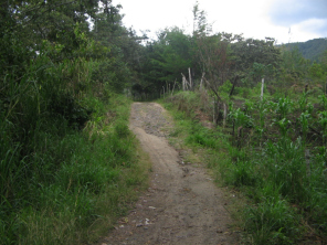 Der Weg geht weiter steil aufw�rts 3