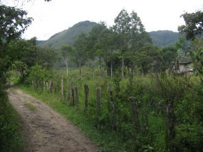 Der Weg geht weiter steil aufw�rts 04