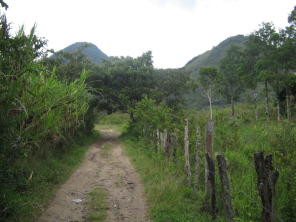 Der Weg geht weiter steil aufw�rts 05