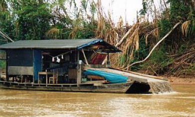 Gold
                floating dredge damaging heavily the riverbeds and
                poisoning the river with mercury.