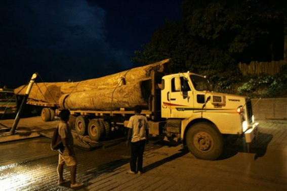A truck (Volvo) with robbed wood
                from the rain forest is crossing the river Madre de Dios
                near Puerto Maldonado