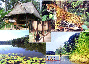 Tambopata Candamo National Park
                with lodge, lakes, birds, jaguars, and natives on a
                float (raft)