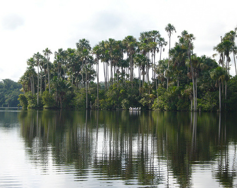 Sandoval Lake (Lago
                    Sandoval) in the region of Puerto Maldonado
