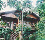 Bungalow of Lodge Wasai on stilts in
                              Puerto Maldonado