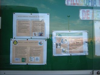 Una vitrina con filosof�a, primer
                                  plano 01