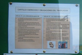 Una vitrina con filosof�a, primer
                                  plano 01, hoja 01