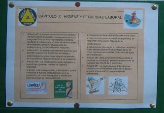 Una vitrina con filosof�a, primer
                                  plano 01, hoja 02