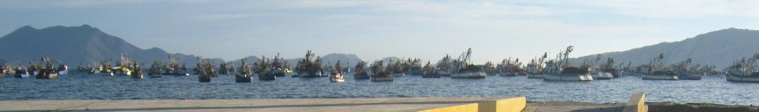 El tope del malec�n con la vista