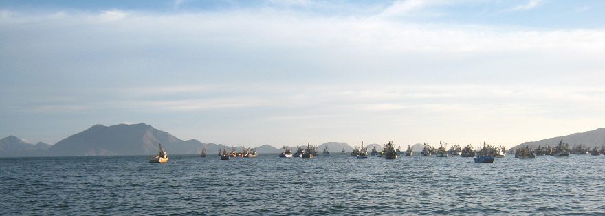 Vista a la bah�a de Chimbote con islas
                            y barcos de pesquera