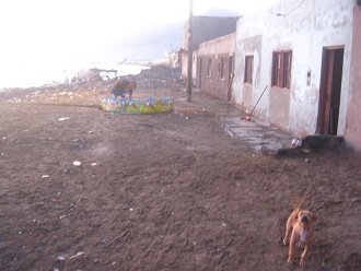 Un perro en el malec�n incompleto