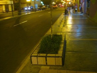 Muros peque�os para �rboles, al fondo los
                          restos de los bancos en la acera