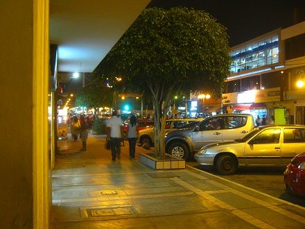 �rbol en muro peque�o, jir�n Aguirre con
                          el gimnasio y Western Union al fondo