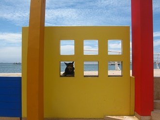 Est� un perro en la reja