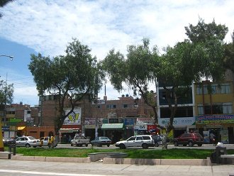 Avenida de la Torre, casas viejas
                          peque�as